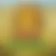 Zagraj Mega Moolah z Games Global w {"id":25,"name":"Royspins","design":{"logo":"royspins-logo.7OHyck.svg","favicon":"royspins-favicon.TF5d1t.png","banner_poker":"royspins-poker.nDwH9j.webp","banner_mobile":"royspins-mobile.s63Xva.webp","block_bg_color":"#4338ca","image_bg_color":"#251F6C","banner_bg_color":"#4338ca","block_text_color":"#ffffff","primary_bg_color":"#1B1960","royspins-favicon":"royspins-favicon.lCqOrO.png","banner_text_color":"#fff","footer_logos_type":"white","block_round_radius":"0.125rem","primary_text_color":"#ffffff","button_round_radius":"0","banner_welcome_bonus":"royspins-welcome-bonus.YX3yhV.webp","primary_button_bg_color":"#F204A8","primary_button_text_color":"#fff","secondary_button_bg_color":"#3730a3","secondary_button_text_color":"#f8fafc"},"created_at":"2025-05-14T09:25:22.000000Z","updated_at":"2025-05-14T09:25:22.000000Z","deleted_at":null}