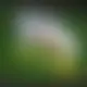 Zagraj Let It Ride z Playtech w {"id":25,"name":"Royspins","design":{"logo":"royspins-logo.7OHyck.svg","favicon":"royspins-favicon.TF5d1t.png","banner_poker":"royspins-poker.nDwH9j.webp","banner_mobile":"royspins-mobile.s63Xva.webp","block_bg_color":"#4338ca","image_bg_color":"#251F6C","banner_bg_color":"#4338ca","block_text_color":"#ffffff","primary_bg_color":"#1B1960","royspins-favicon":"royspins-favicon.lCqOrO.png","banner_text_color":"#fff","footer_logos_type":"white","block_round_radius":"0.125rem","primary_text_color":"#ffffff","button_round_radius":"0","banner_welcome_bonus":"royspins-welcome-bonus.YX3yhV.webp","primary_button_bg_color":"#F204A8","primary_button_text_color":"#fff","secondary_button_bg_color":"#3730a3","secondary_button_text_color":"#f8fafc"},"created_at":"2025-05-14T09:25:22.000000Z","updated_at":"2025-05-14T09:25:22.000000Z","deleted_at":null}